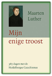 Mijn enige troost.